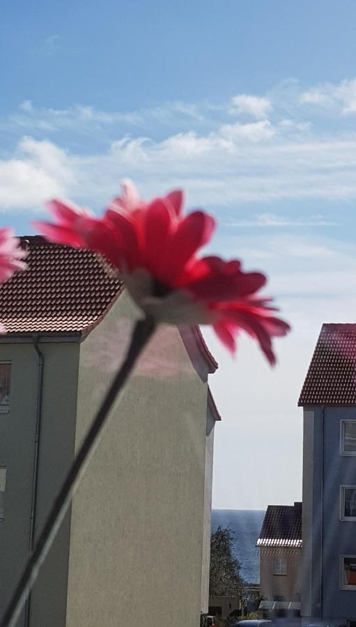 Apartment Deichkrone Sassnitz Exterior photo
